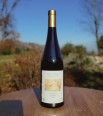 Pinot noir Schoflit 2020 sans sulfites ajoutés