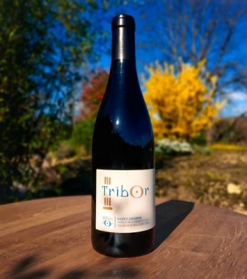 Saint-Joseph "Tribor" 2022