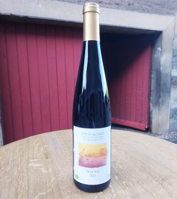 Alsace Pinot Noir 2023