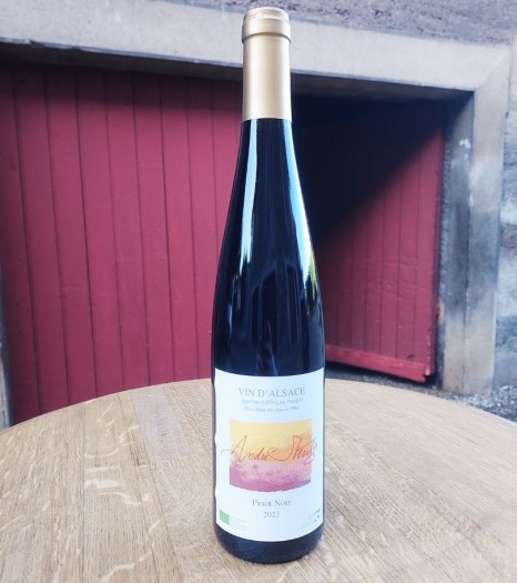 Alsace Pinot Noir 2023