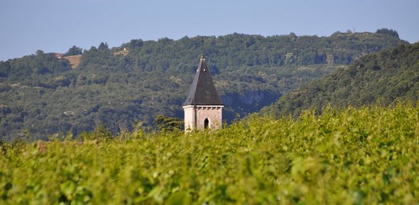 Vigneron partenaire