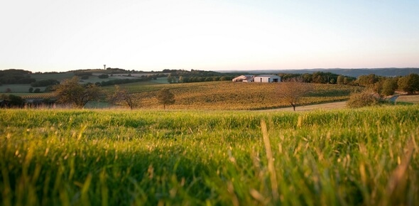 Vigneron partenaire