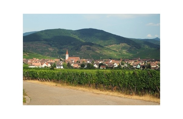 L'Alsace ou comment acheter malin !