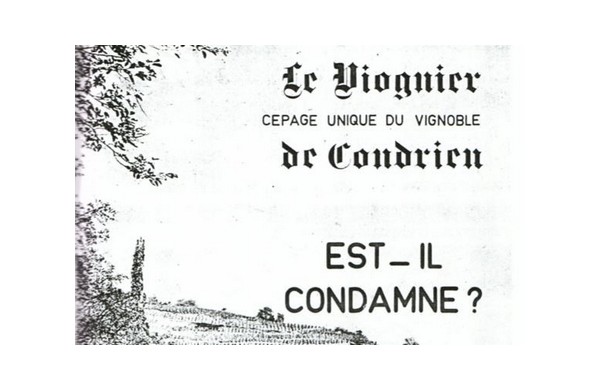 Condrieu, de l'ombre à la lumière